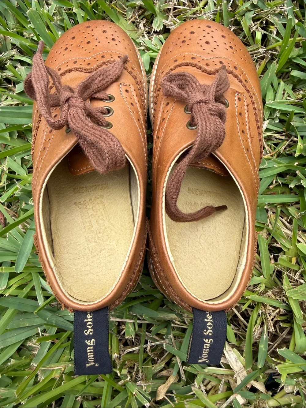 Brando Brogue Kids Shoe Tan Burnished Leather